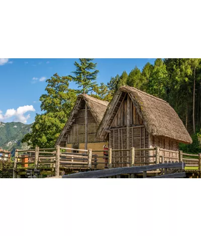 Prehistoric pile-dwelling sites in the Alps