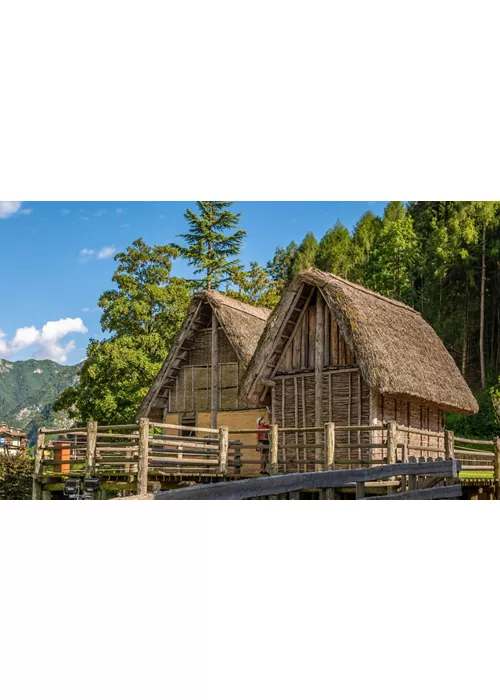 Prehistoric pile-dwelling sites in the Alps