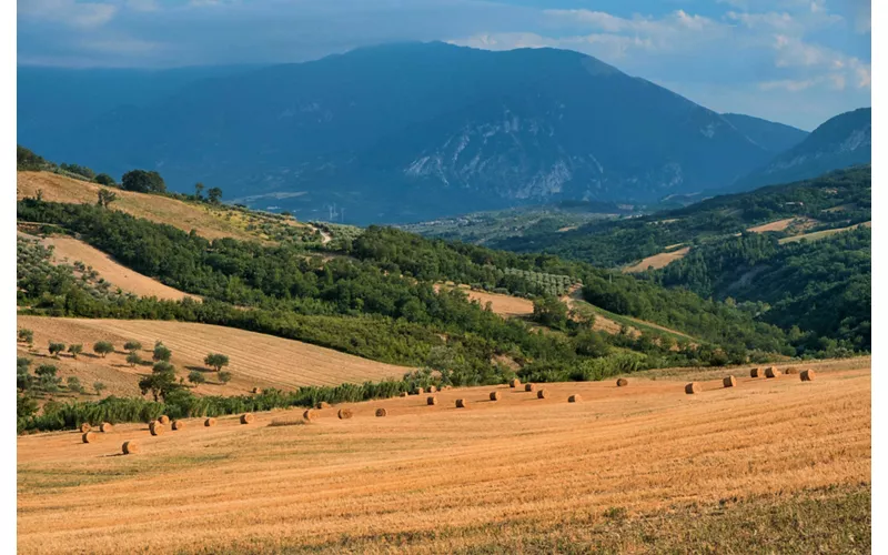 De los Abruzos a Apulia por el Tratturo Magno