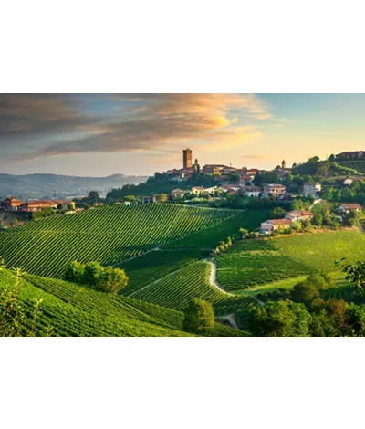 Barbaresco