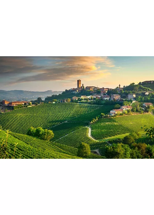 Barbaresco