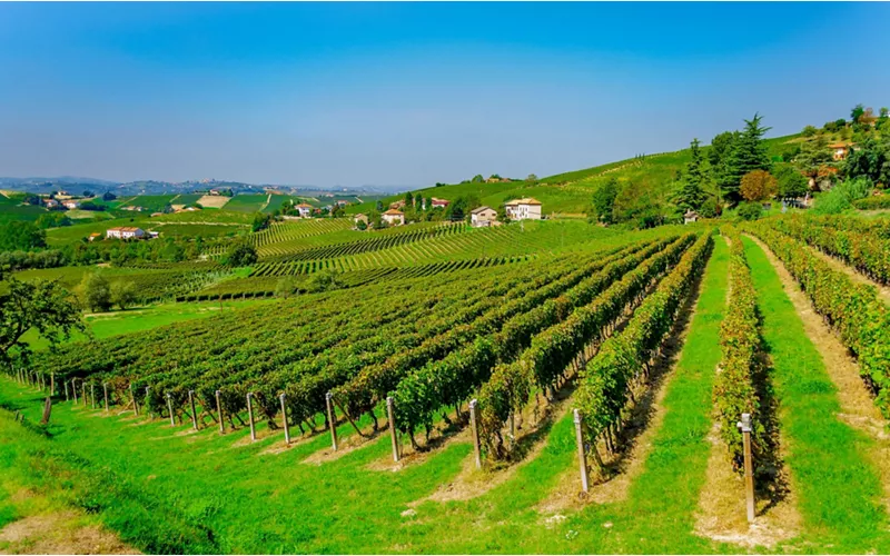 História e informações sobre Langhe
