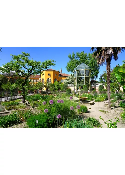 Padua’s Botanical Garden