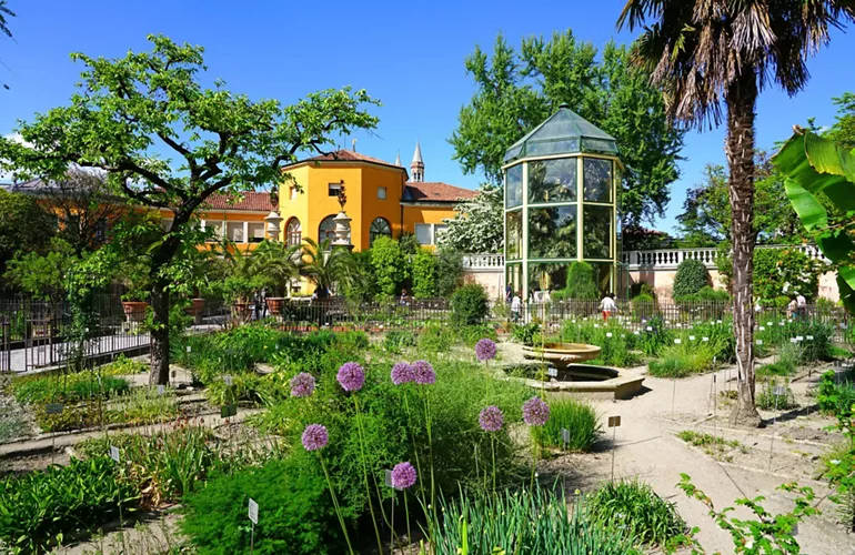 ¿Qué es el Jardín Botánico de Padua y dónde se encuentra?