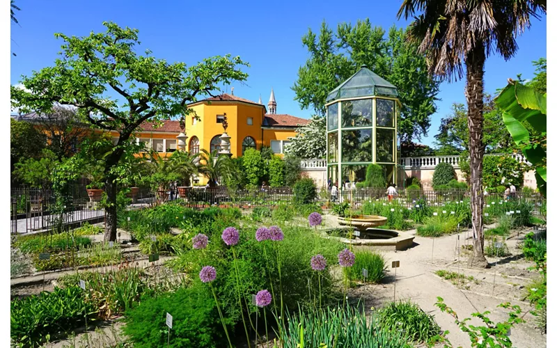 O que é e onde fica o Jardim Botânico de Pádua
