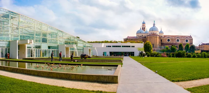 Why Padua’s Botanical Garden is a UNESCO site
