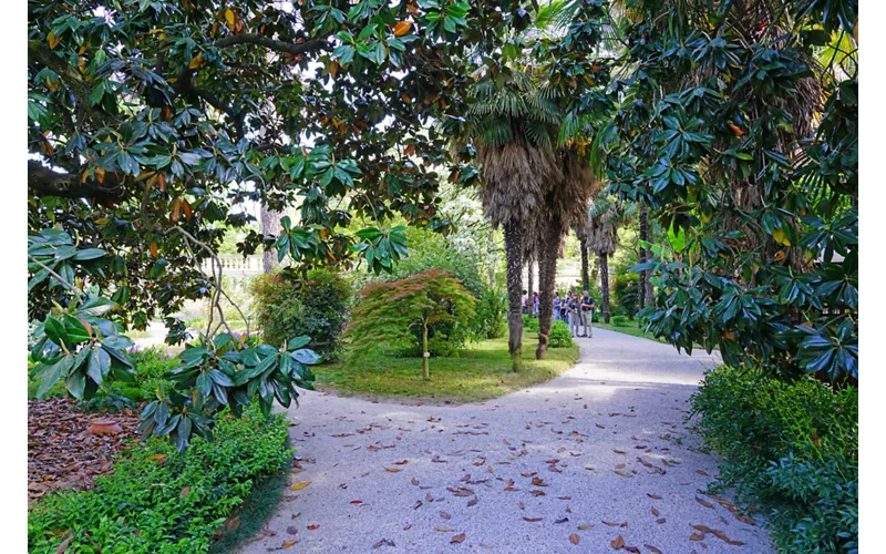 Histoire et curiosités du jardin botanique de Padoue