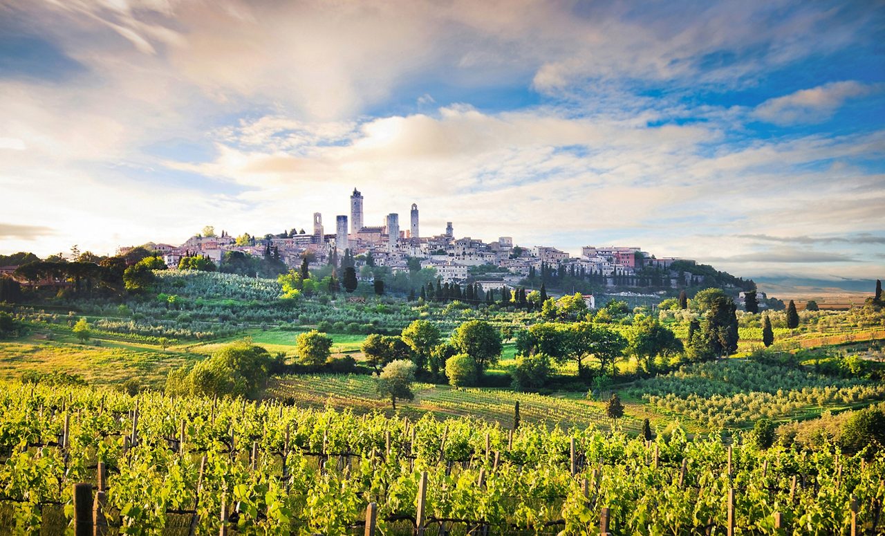 Beautiful landscape with the medieval city of San Gimignano in the background at sunset in Tuscany, province of Siena, Italy