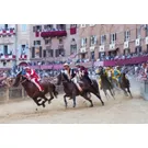 Palio di Siena 
