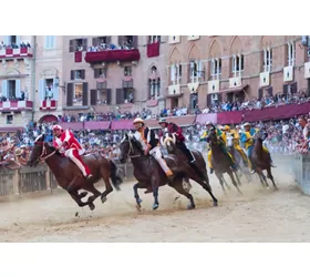 Palio di Siena 
