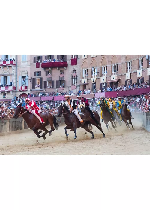 Palio di Siena 