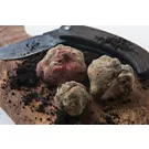 Tartufo d'alba