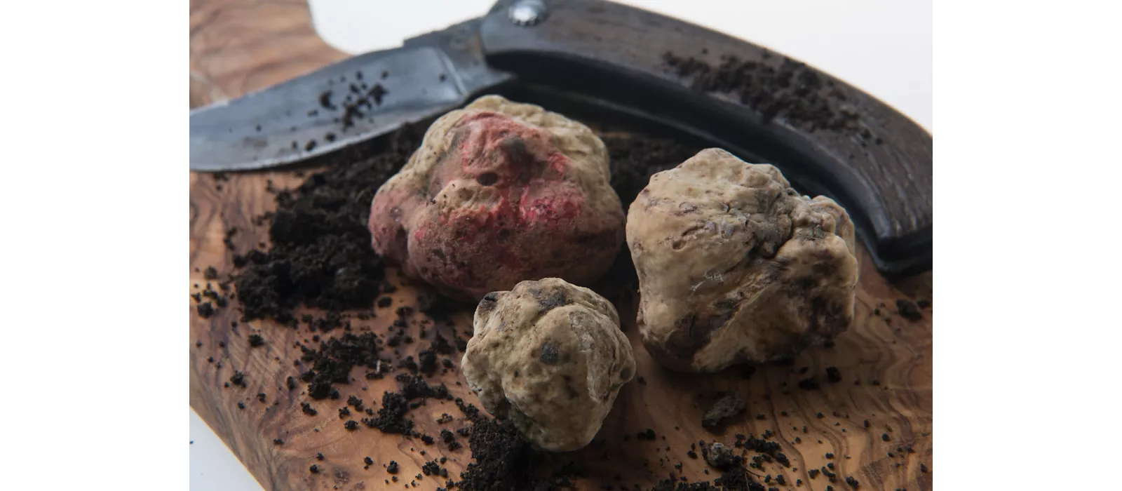 Tartufo d'alba