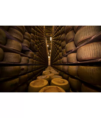 Grana Padano