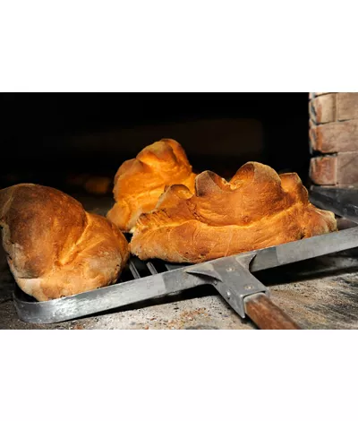 Pane di Matera