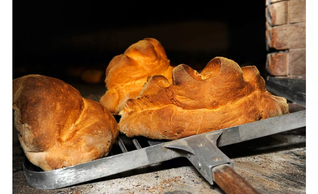 Pane di Matera