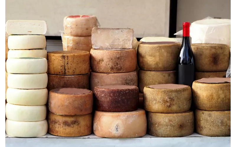 The Roman pecorino cheese
