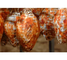 The Molise of Taste