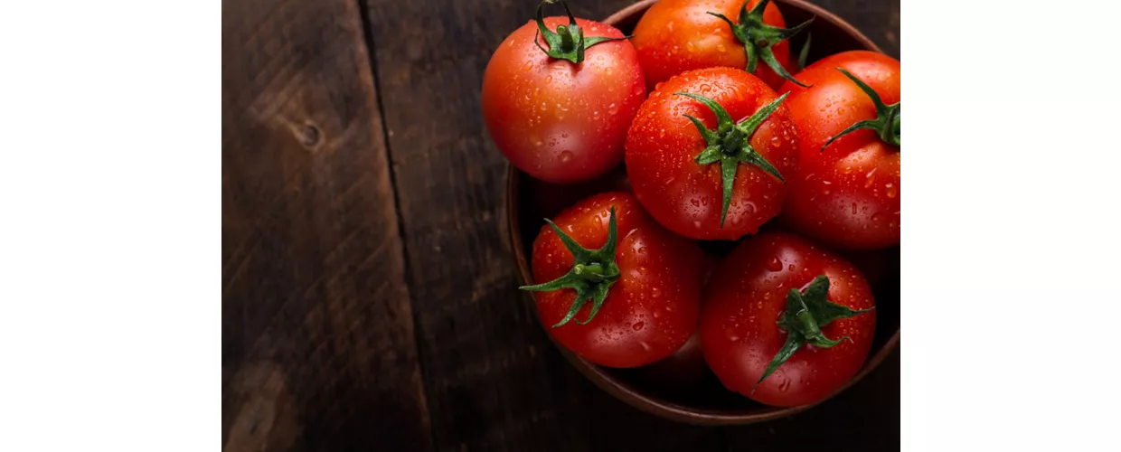 Musée de la tomate