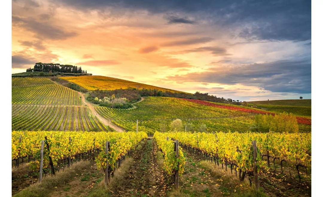 Chianti shop in italian