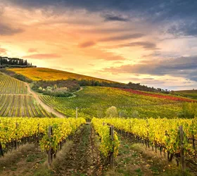 Visiting the Chianti Valley