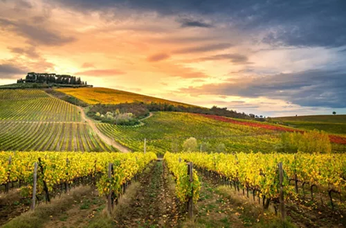Visiting the Chianti Valley