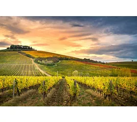 vigneti chianti