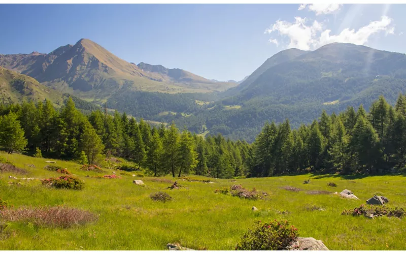 Le col du Mortirolo