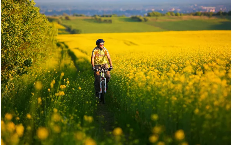 The Munich - Venice Cycling Route