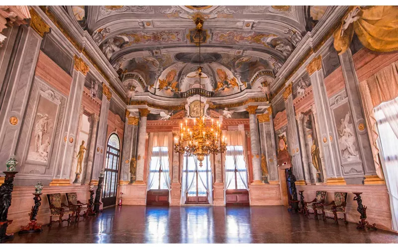 Ca' Rezzonico - Venezia, Vene