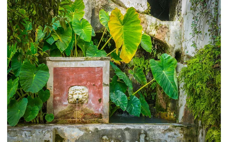 Giardini della Minerva - Salerno, Campania