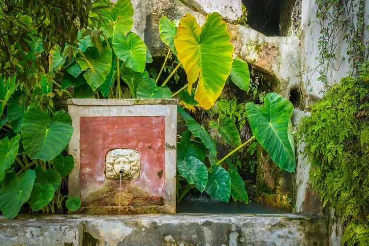 Giardini della Minerva - Salerno, Campania