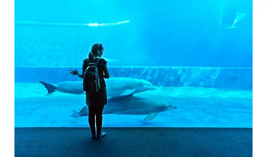 Genova - Acquario