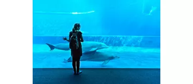 Genova - Acquario