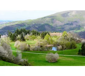 8 places in nature you should not miss in and around Bologna