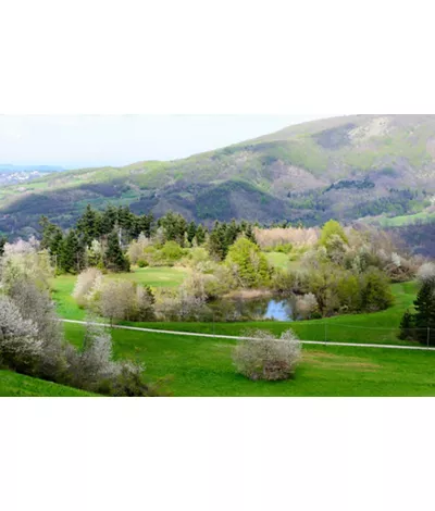 Bolonha, os espaços verdes a não perder