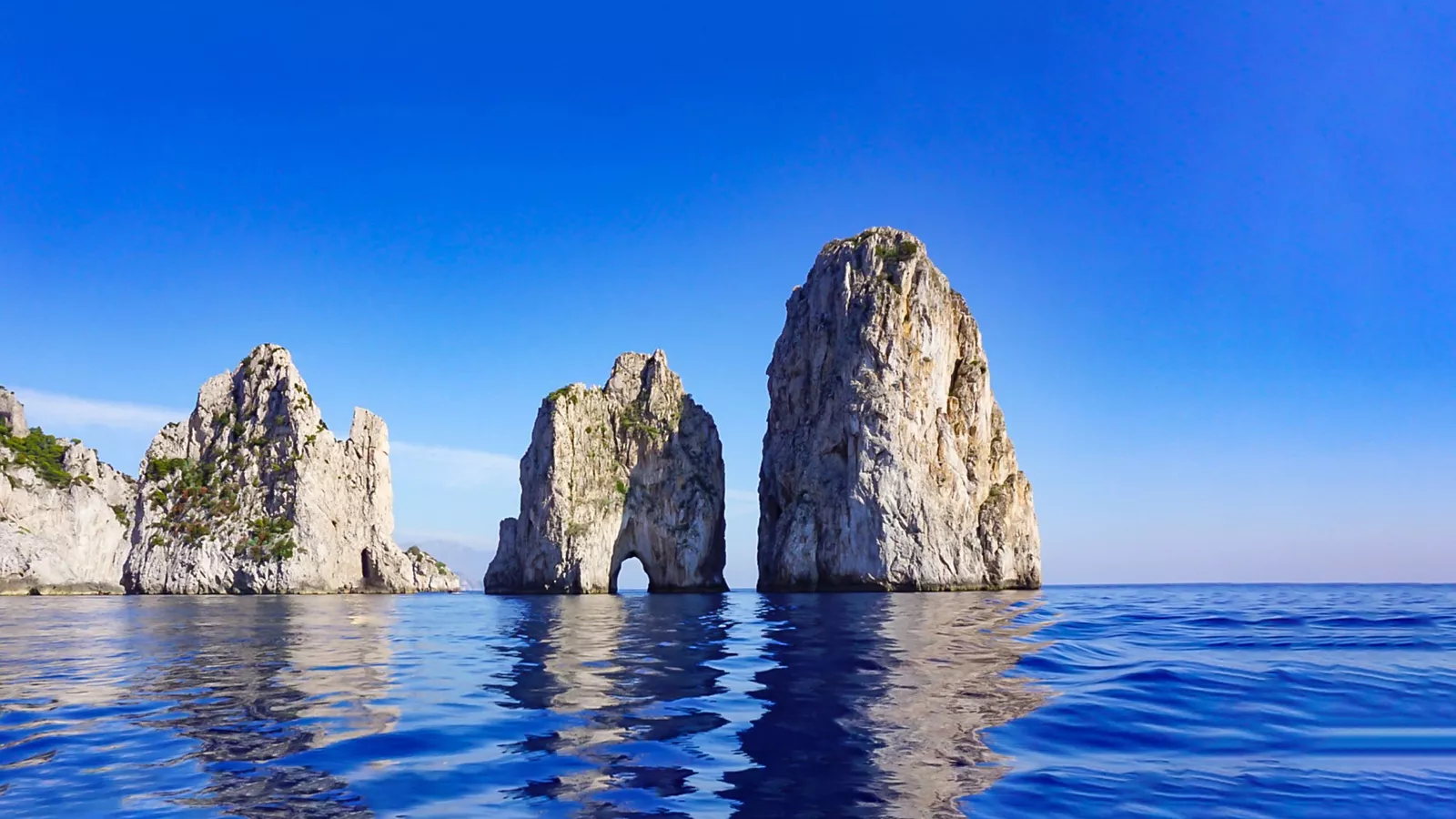 Mediterranean Sea - a real discovery for nature enthusiasts