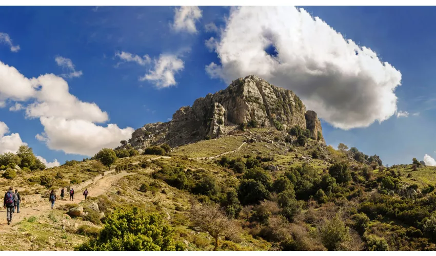 Sardegna