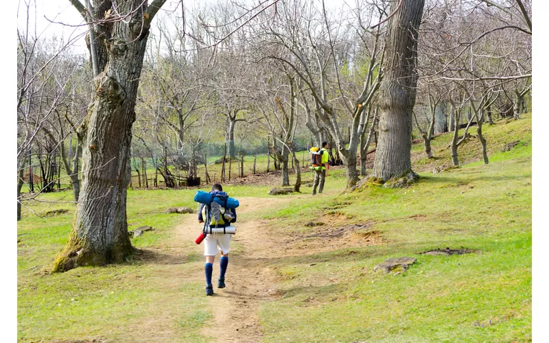 Trekkers sulla Via degli Dei