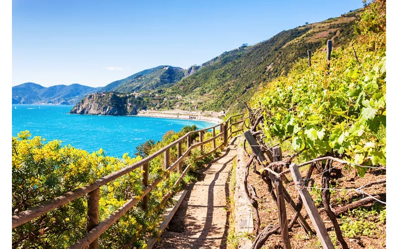 Paesaggio costiero sul Sentiero Liguria
