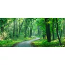 Caminar en la naturaleza: 5 rutas lentas en el norte de Italia