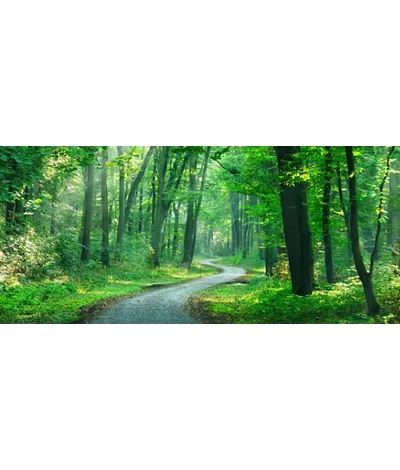 Caminhar na natureza: 5 percursos lentos no norte de Itália