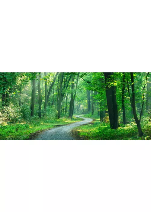 Caminhar na natureza: 5 percursos lentos no norte de Itália