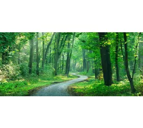 Promenade dans la nature : 5 itinéraires tranquilles dans le nord de l'Italie