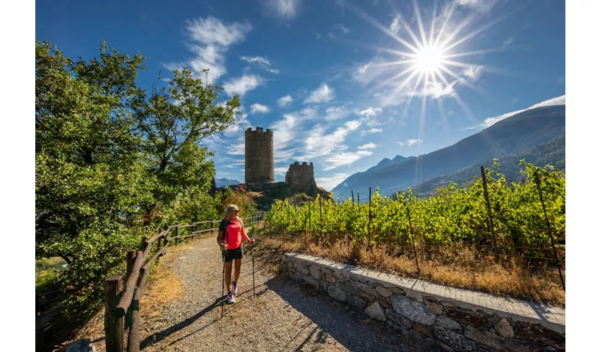 AO Castello di Ch�tel Argent