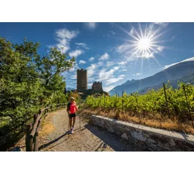 AO Castello di Ch�tel Argent