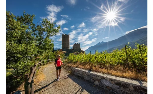 AO Castello di Ch�tel Argent
