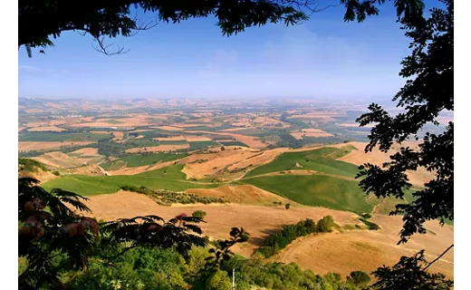 Campagna Molisana