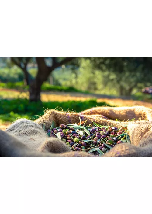 De Levante a Poniente, la cocina de Liguria en 11 etapas