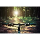 Storia, natura e tradizione: il Friuli Venezia Giulia in bicicletta